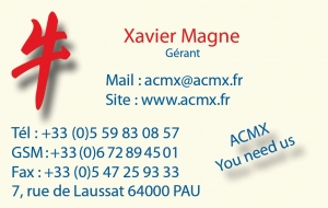 Carte de visite. Création de maquette pour l'imprimerie, WebInk votre imprimeur à Marseille 13007