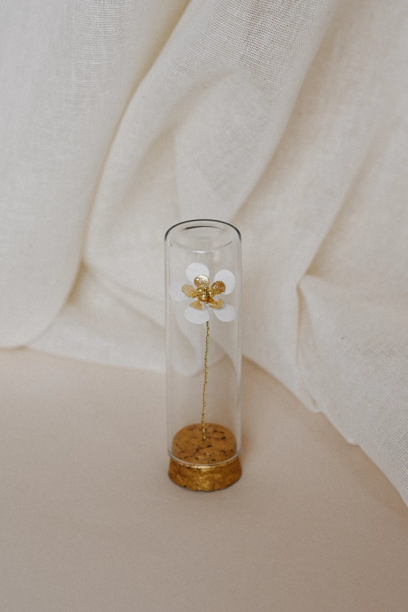 COFFRET NALA BLANC/DORÉ