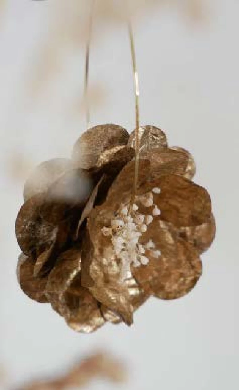 Boucles de nez