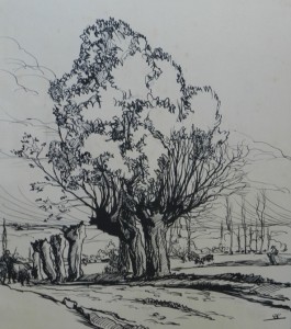 Tableau de l'artiste peintre Charles Sahuguet : Arbre Plume sur papier